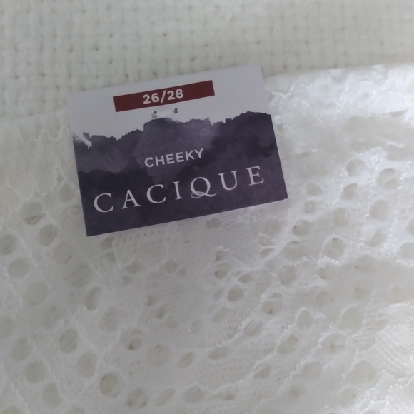 Lot of Lane bryant panties - Picture 3 of 8